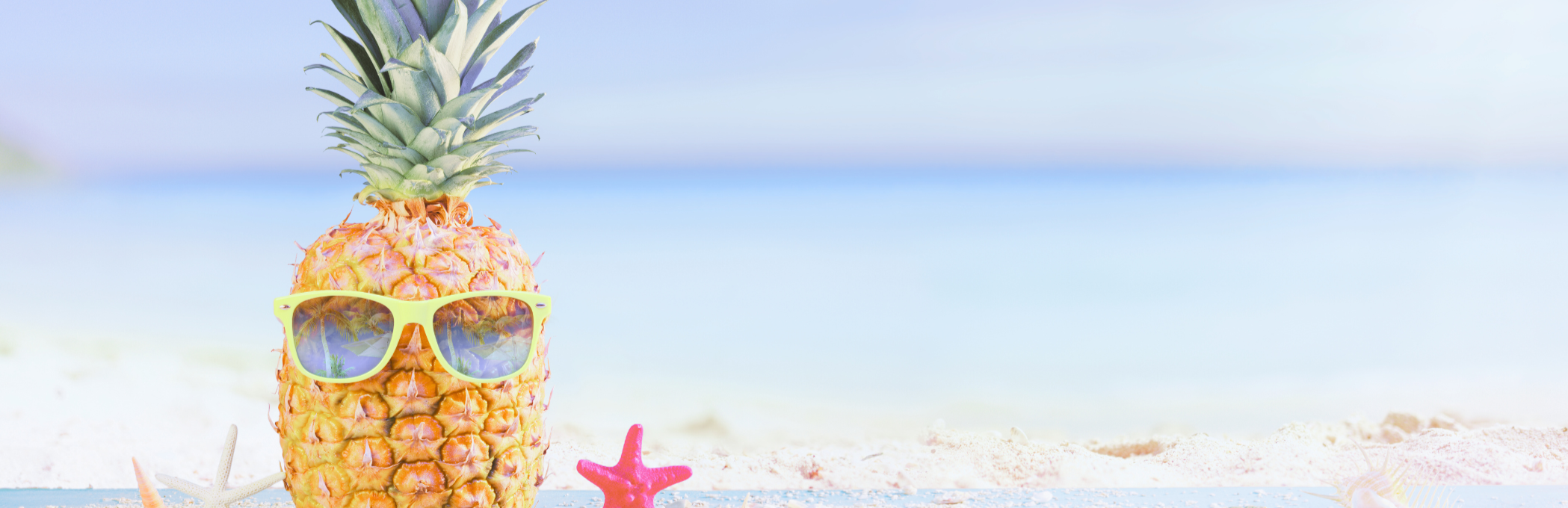 Dive into Summer Collection