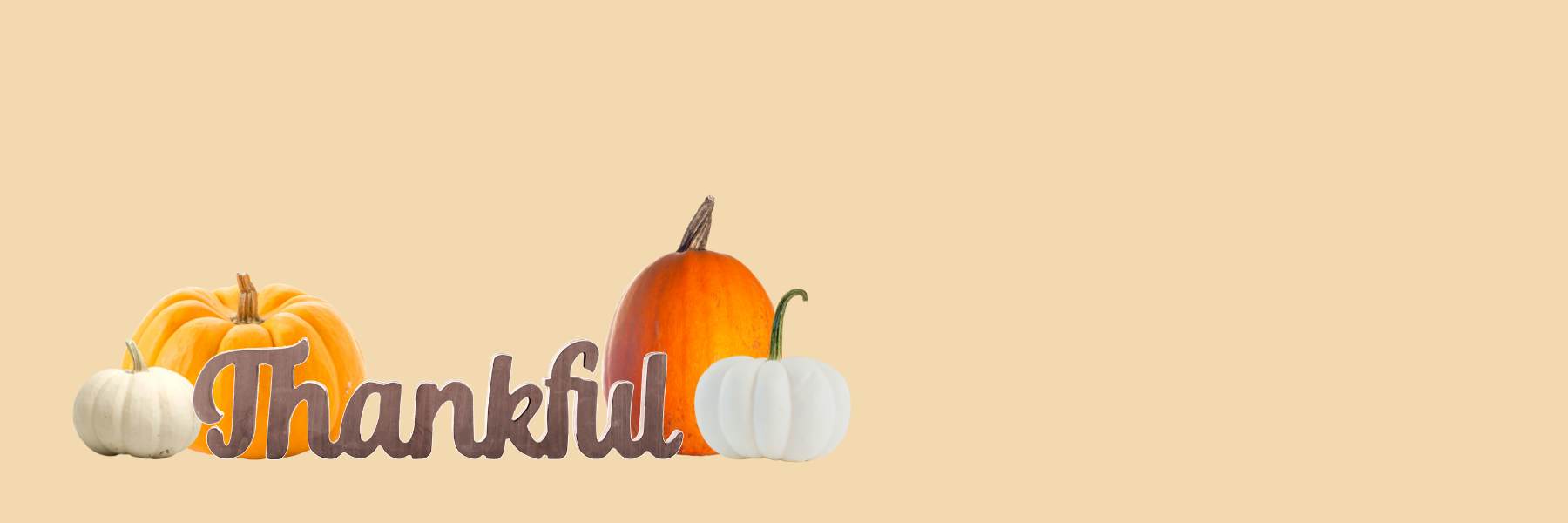 Thankful for Fall Collection by Design